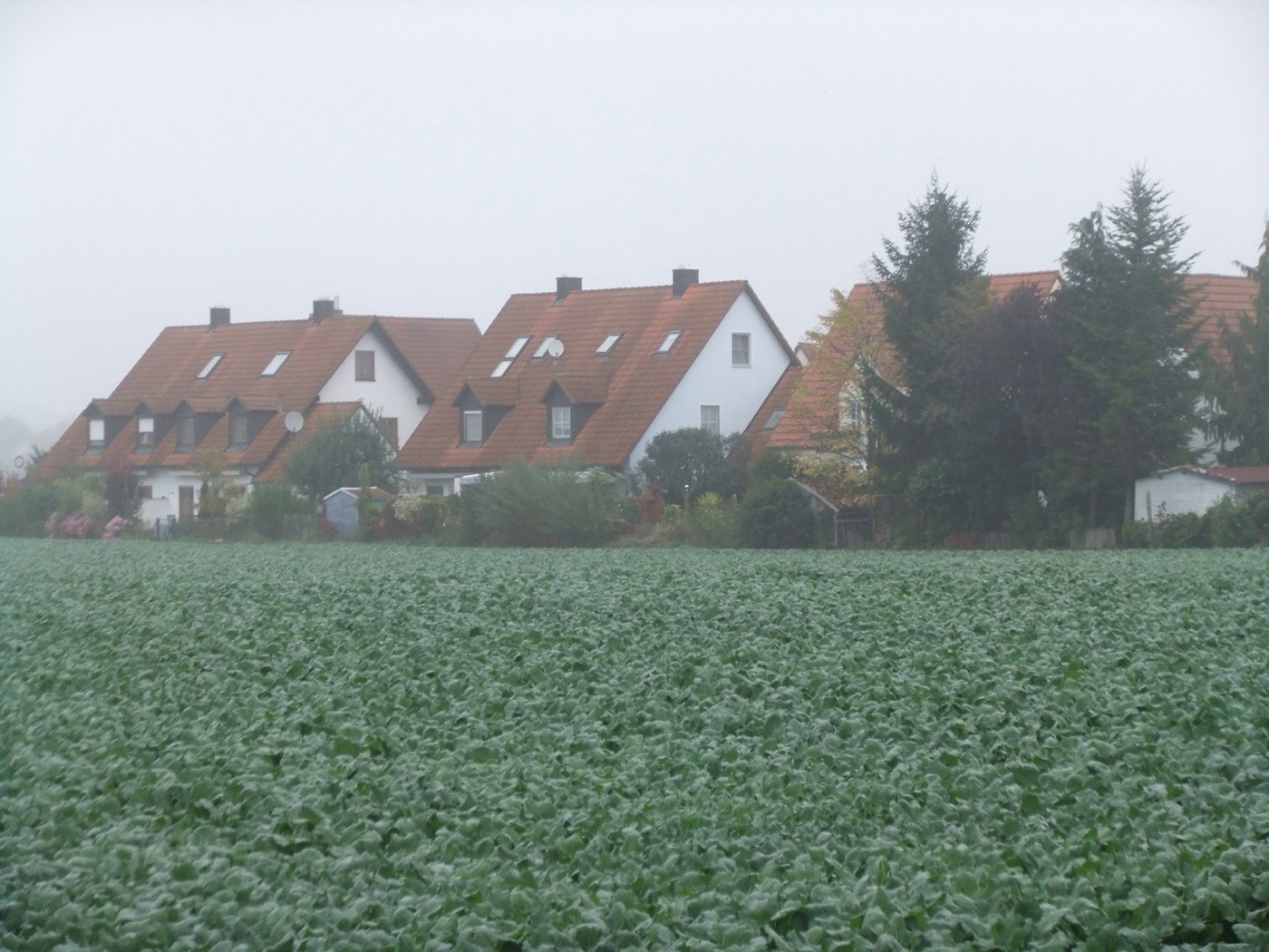 Ortsrand